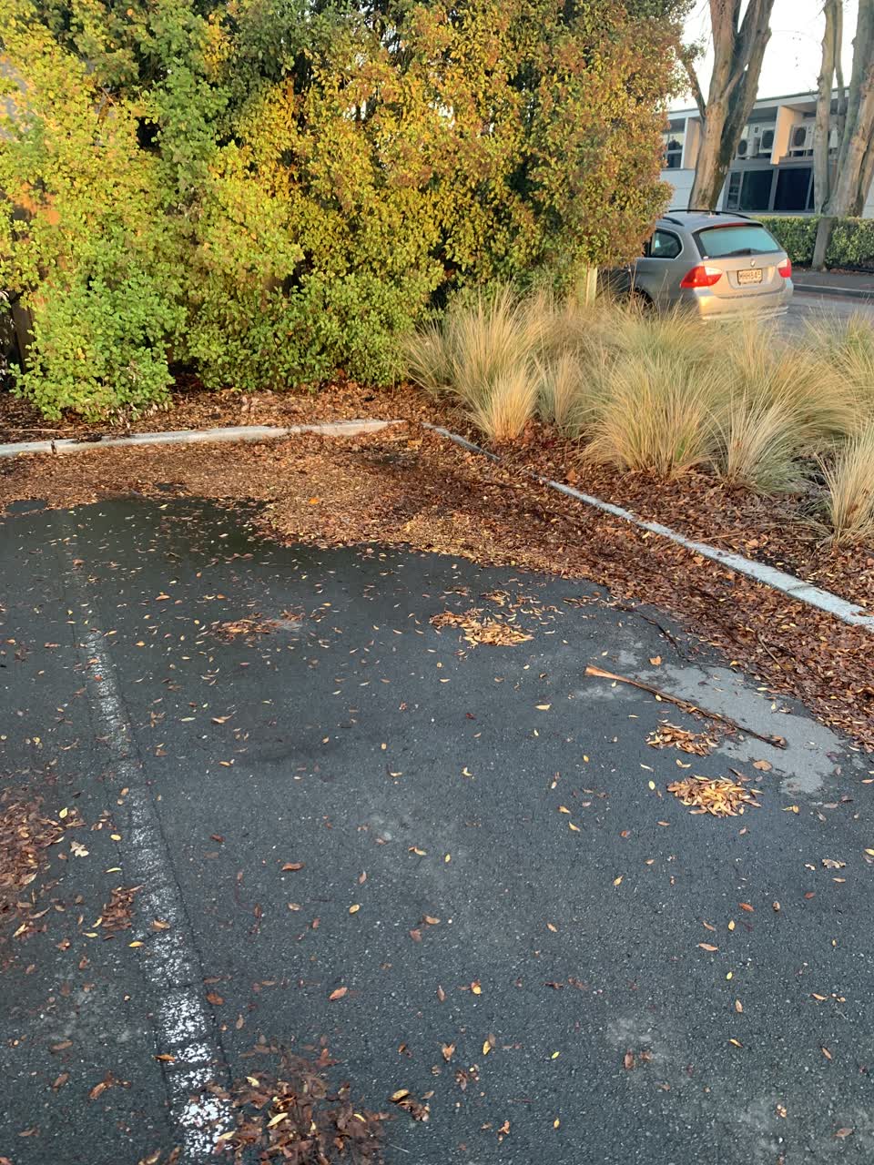The photograph attached to this parks report