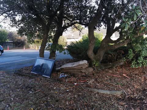 Rubbish/Recycling, a report photo