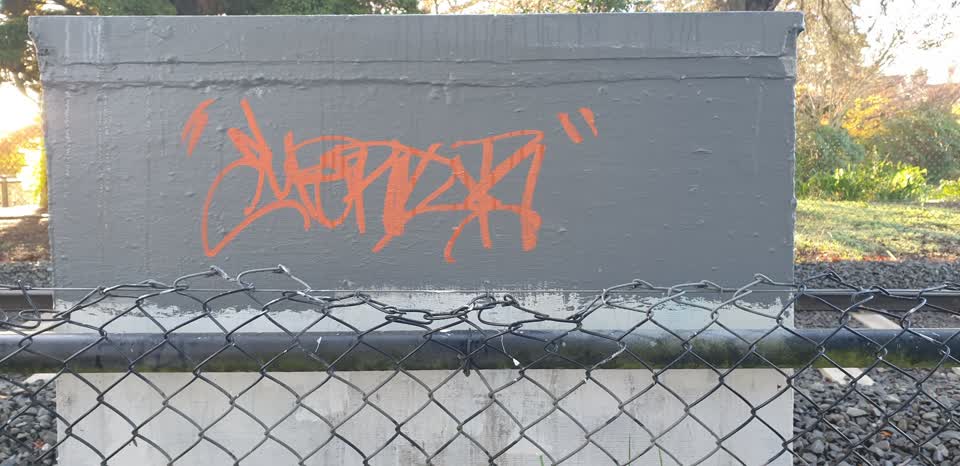 The photograph attached to this graffiti report