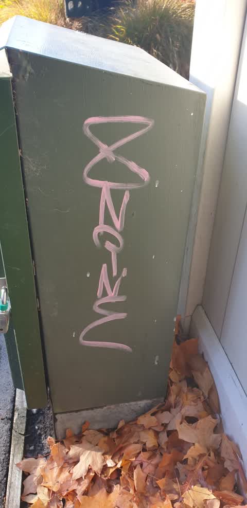 Graffiti, a report photo
