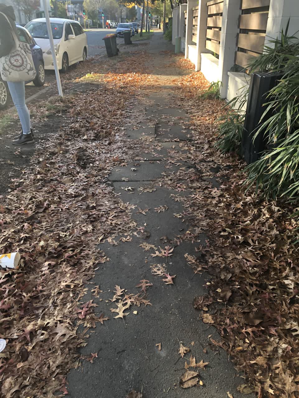 The photograph attached to this roading/streets report