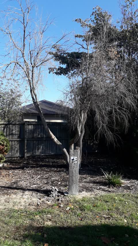Parks, a report photo