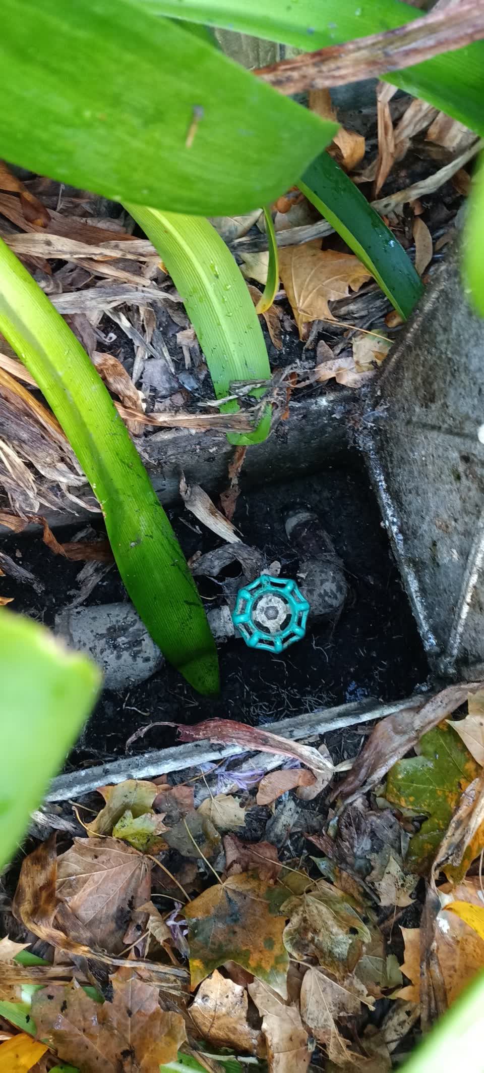 The photograph attached to this water supply report