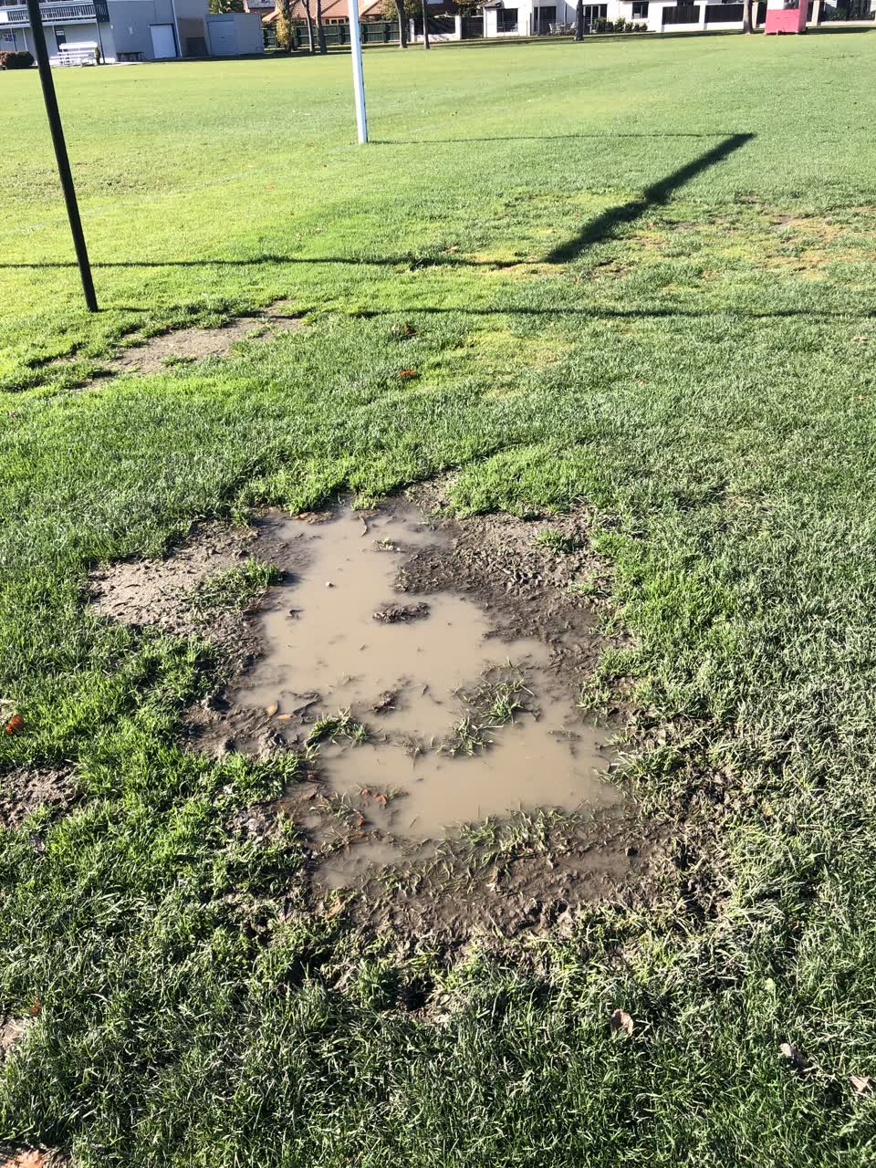 The photograph attached to this parks report