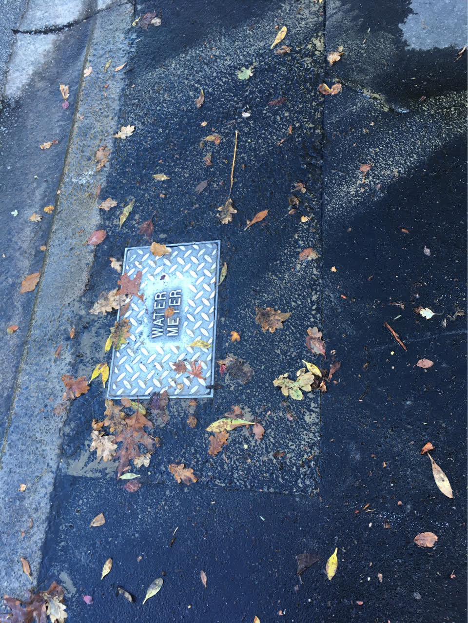 The photograph attached to this water leak report