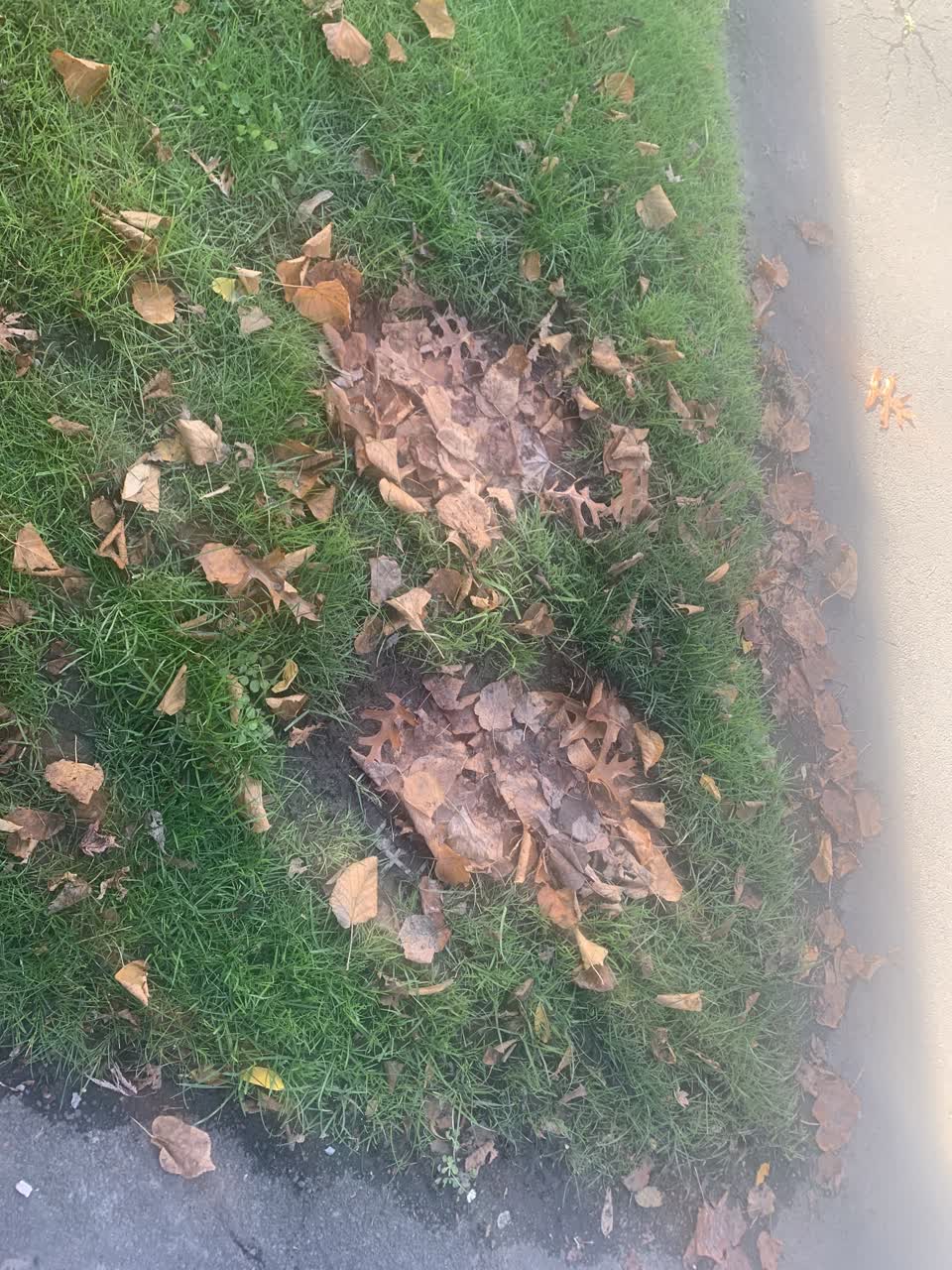The photograph attached to this water supply report
