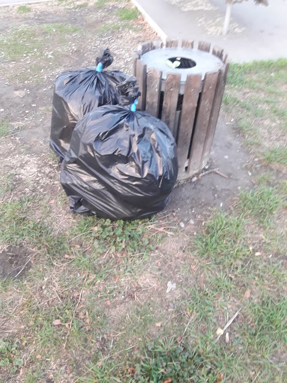 The photograph attached to this parks report