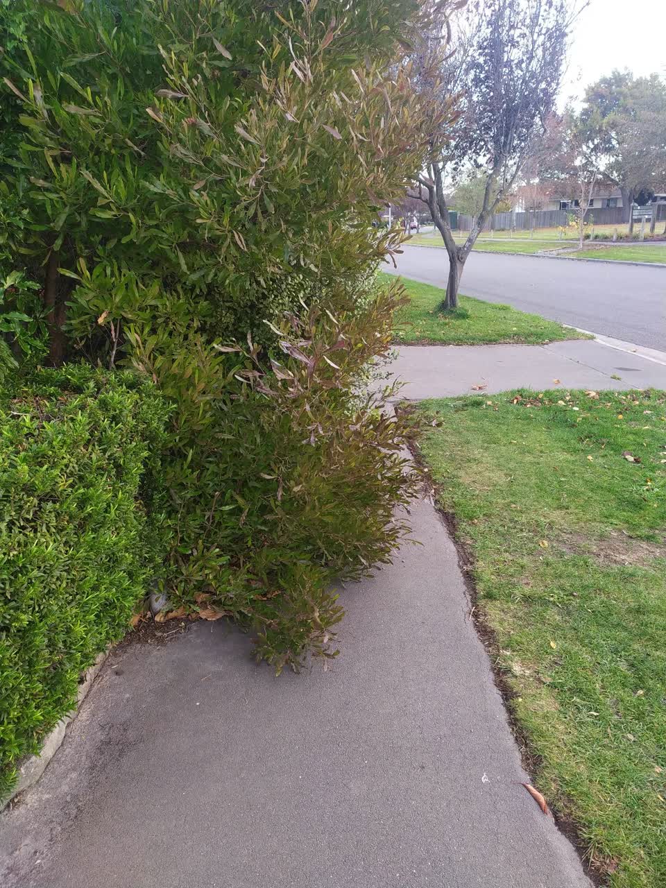 The photograph attached to this roading/streets report
