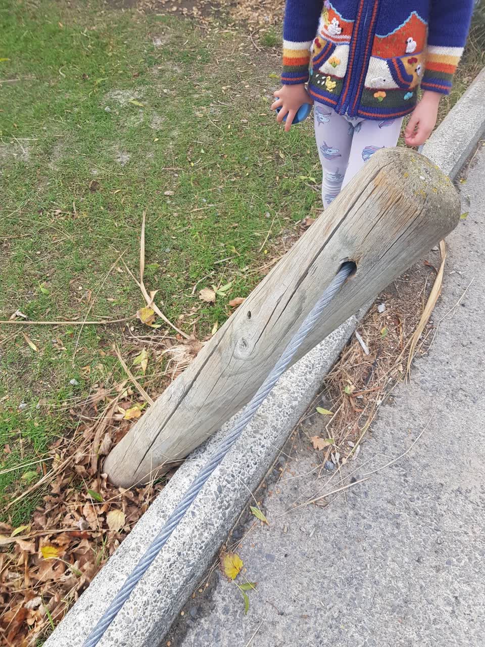 The photograph attached to this parks report