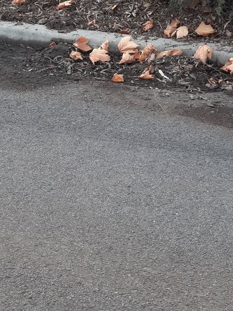Roading/Streets, a report photo