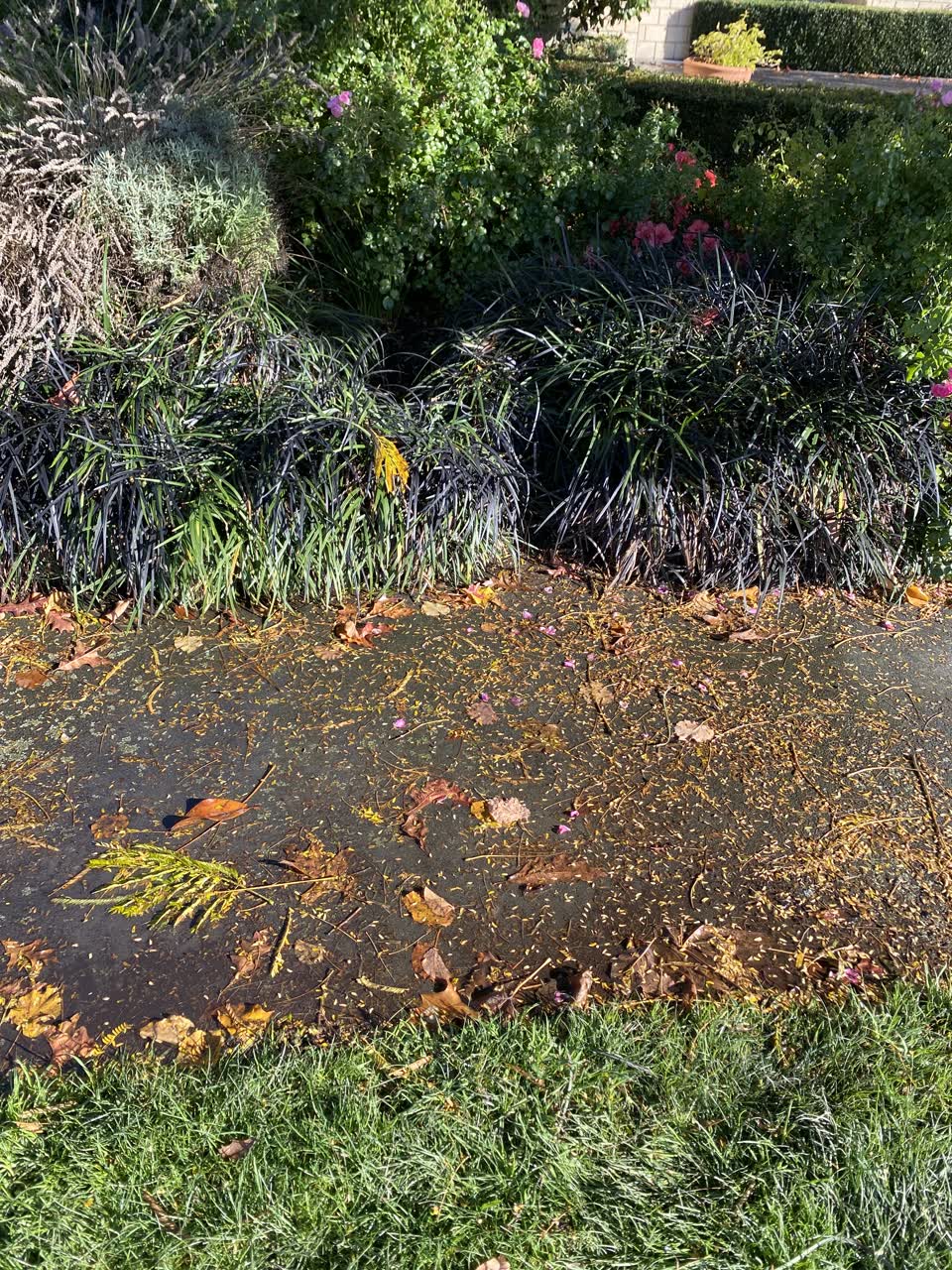 The photograph attached to this water leak report