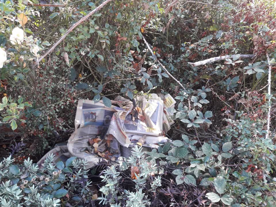 The photograph attached to this rubbish/recycling report