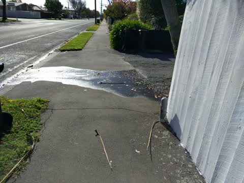 Water Leak, a report photo
