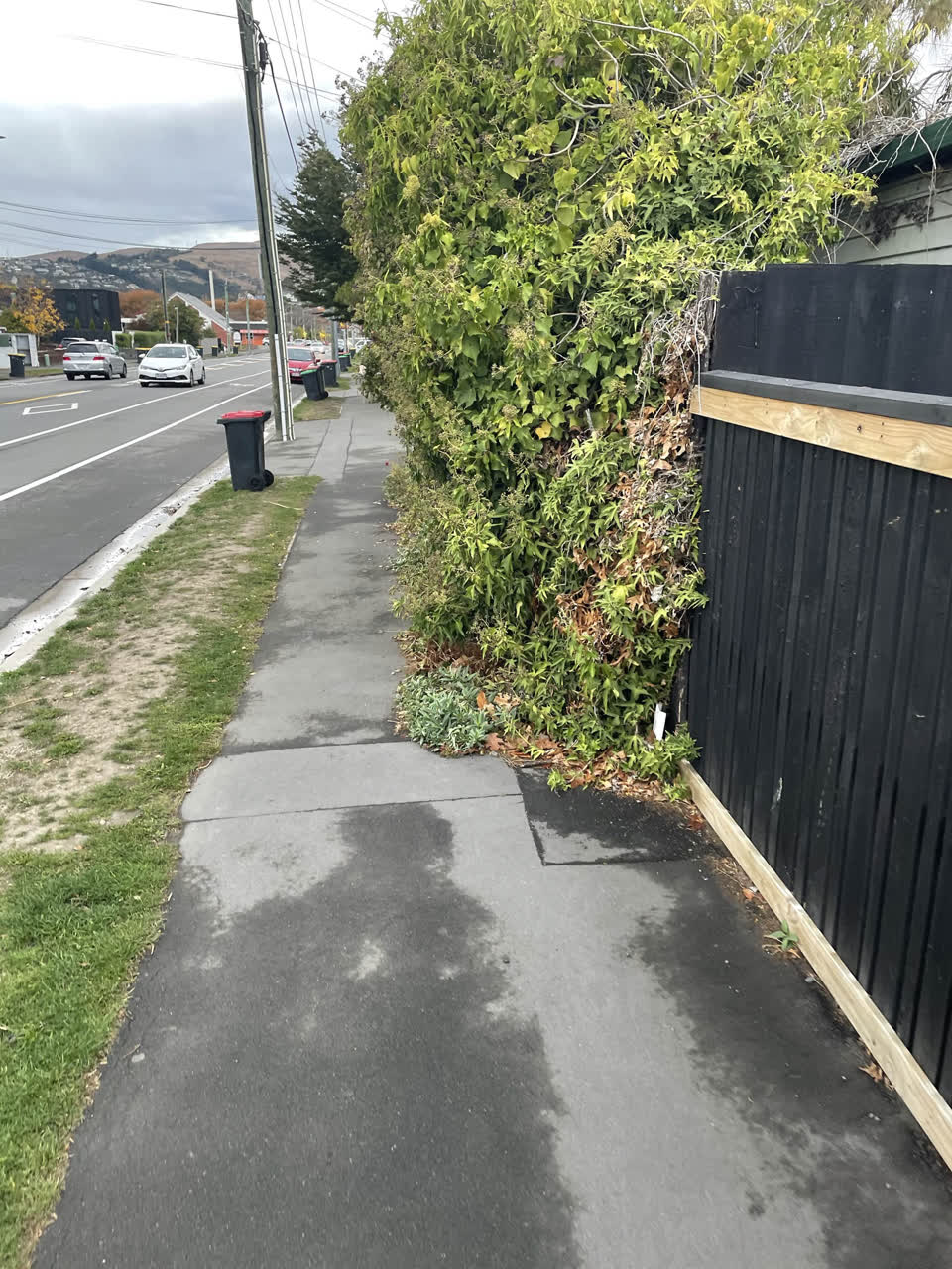 The photograph attached to this roading/streets report