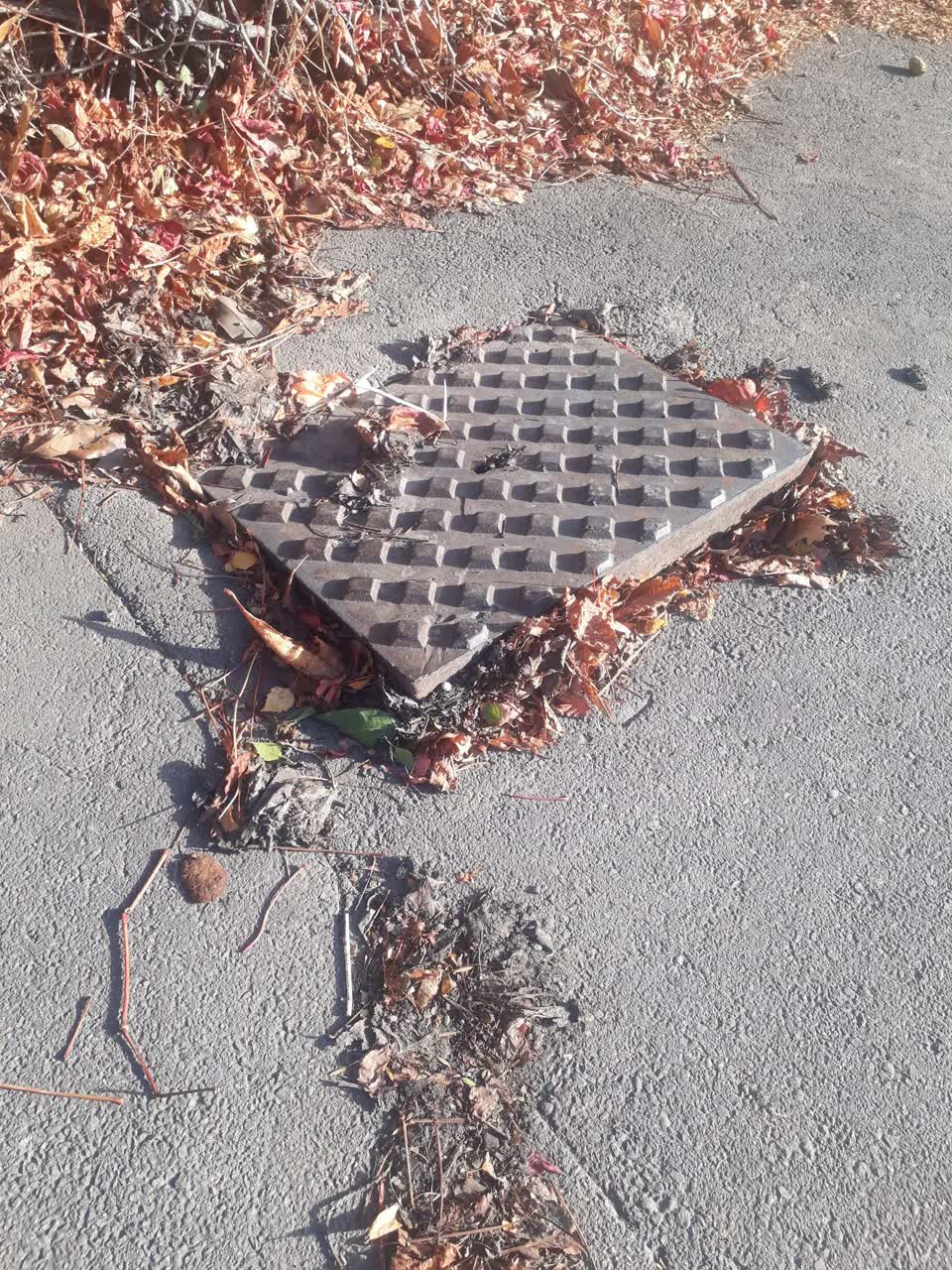 The photograph attached to this general request report