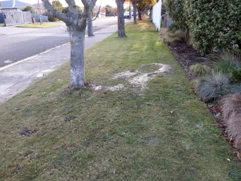 Roading/Streets, a report photo