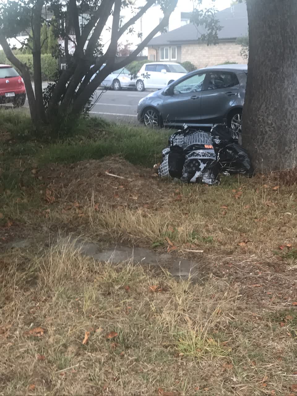 The photograph attached to this parks report