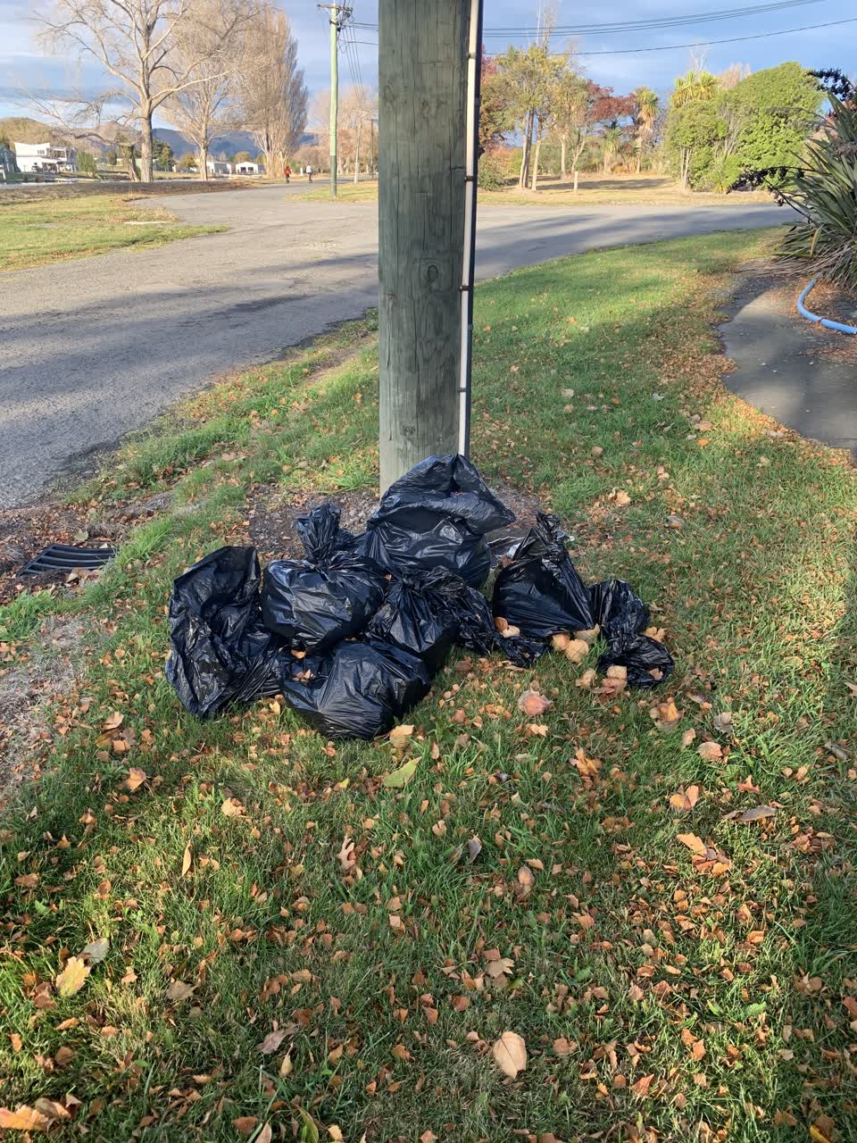 The photograph attached to this rubbish/recycling report