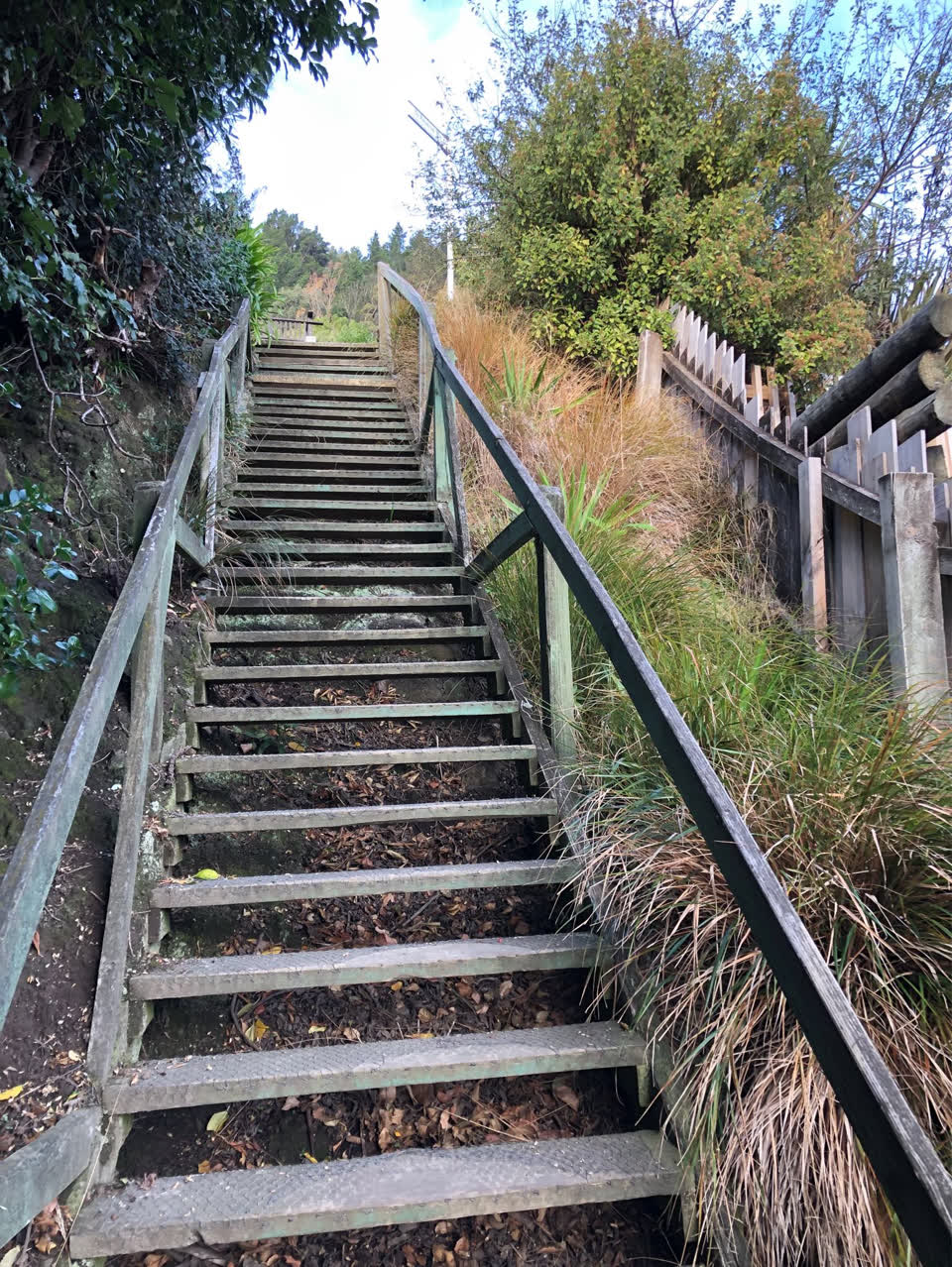 The photograph attached to this parks report
