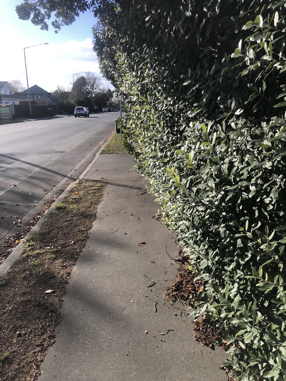 The photograph attached to this roading/streets report