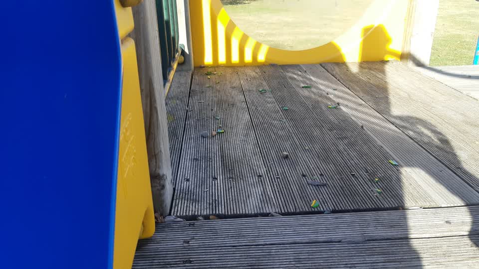 The photograph attached to this parks report