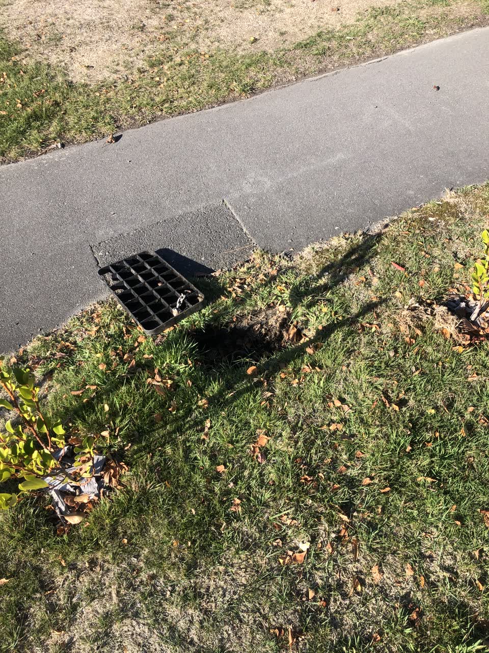 The photograph attached to this water supply report