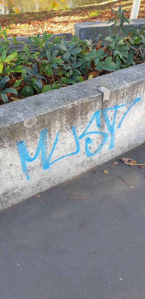 Graffiti, a report photo