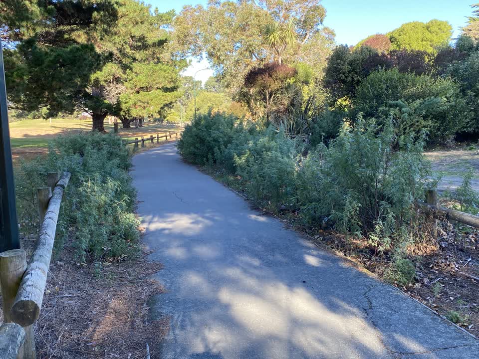 The photograph attached to this parks report