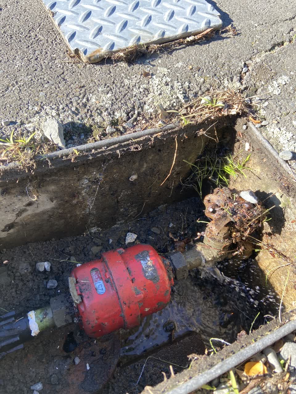 The photograph attached to this water leak report