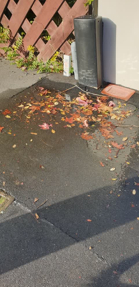 Water Leak, a report photo