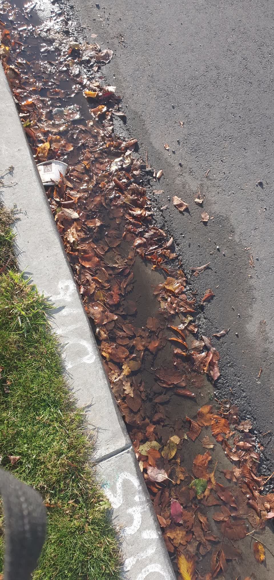 The photograph attached to this water leak report