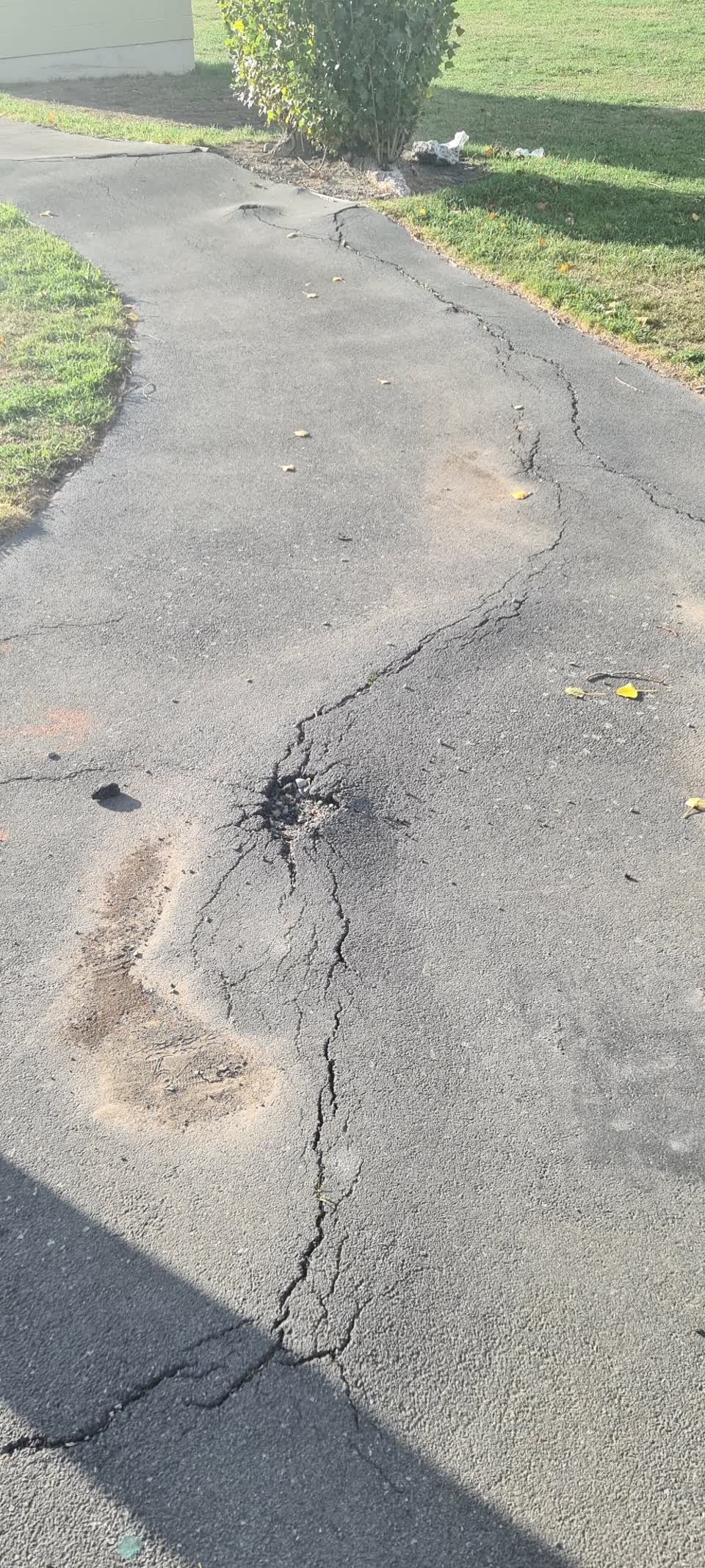 The photograph attached to this parks report