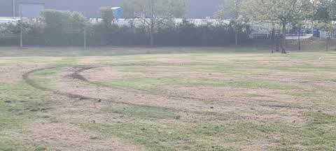 Parks, a report photo