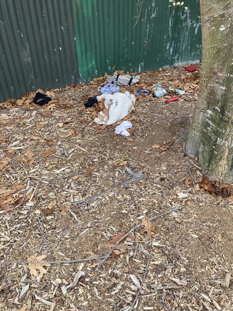 The photograph attached to this parks report