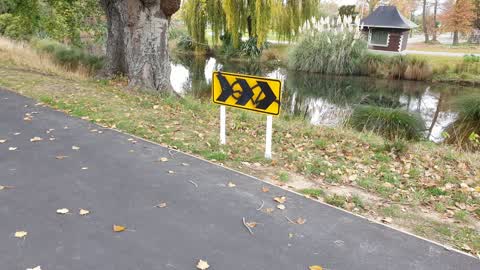 Graffiti — a report photo