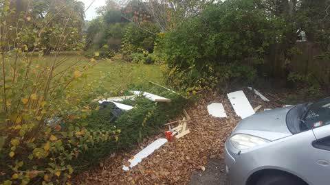 Parks — a report photo