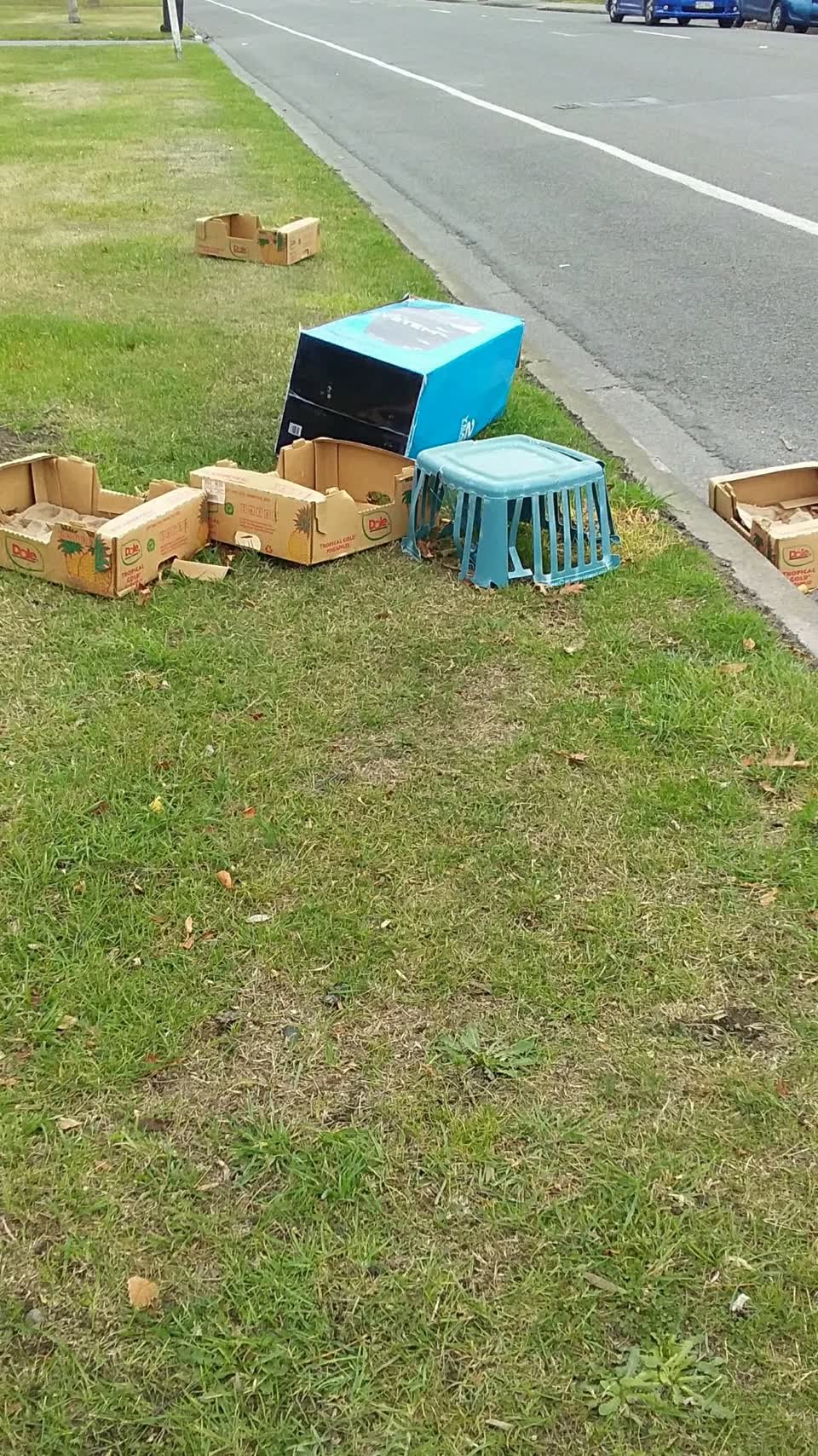 The photograph attached to this rubbish/recycling report