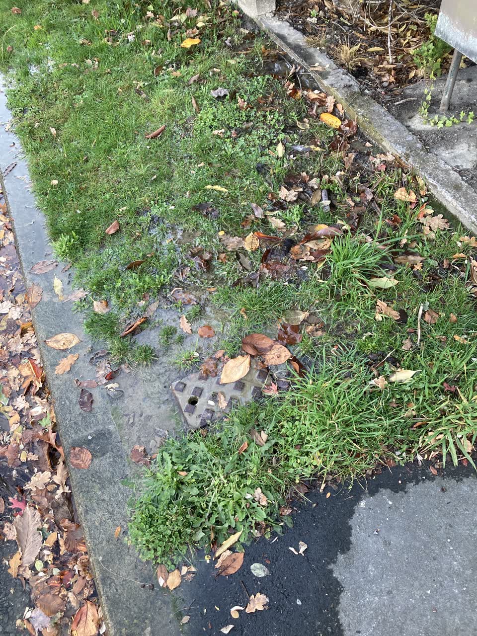 The photograph attached to this water leak report