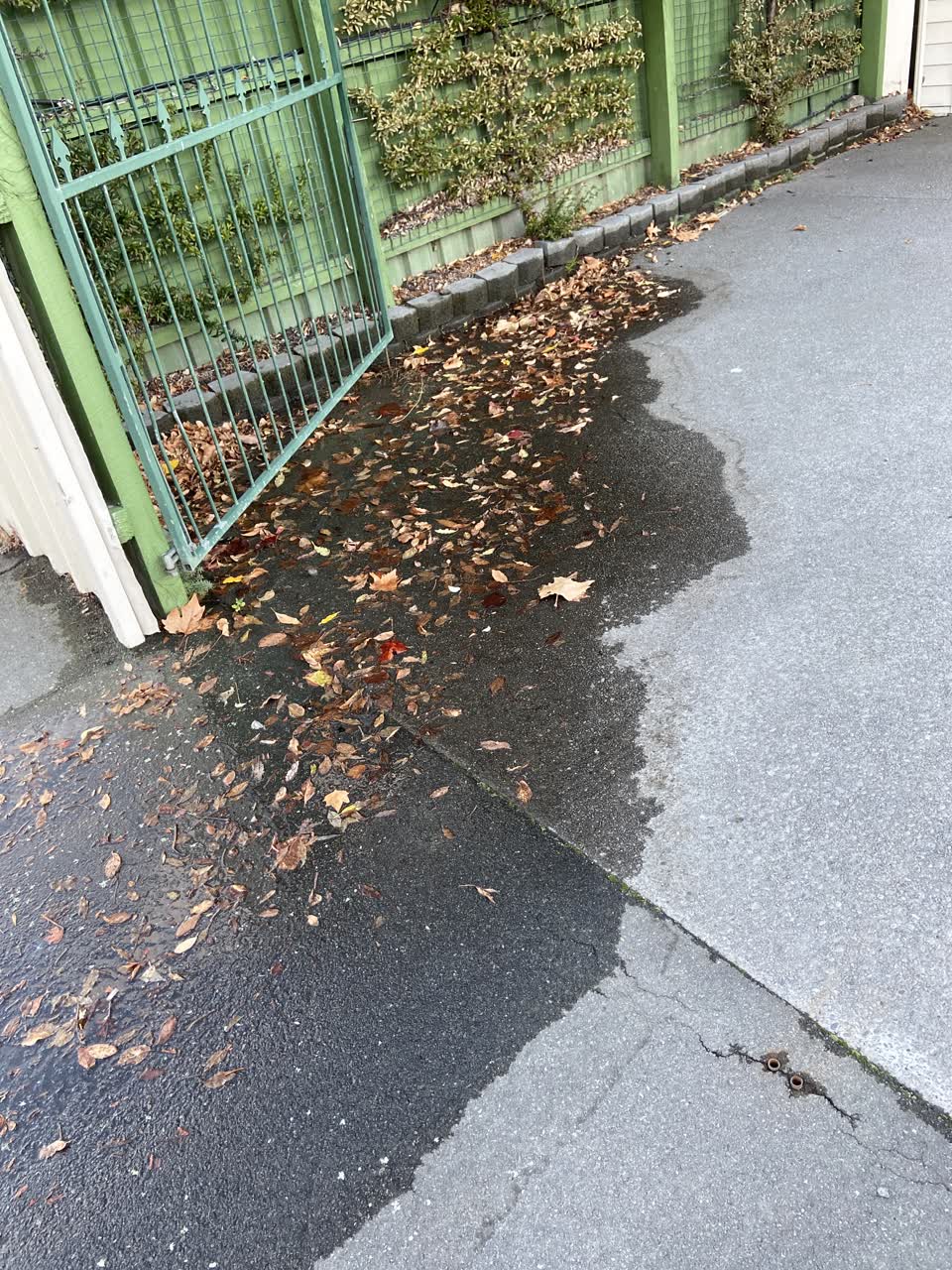 The photograph attached to this water leak report