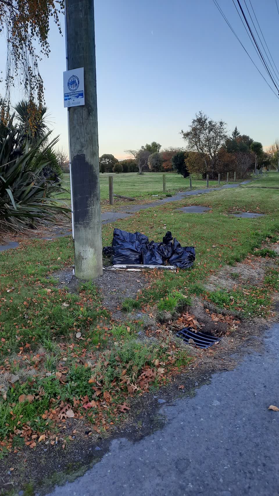 The photograph attached to this rubbish/recycling report