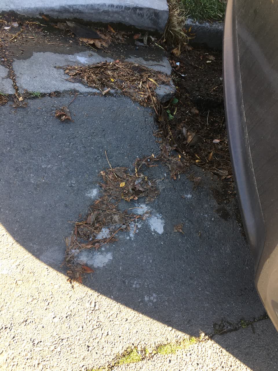 The photograph attached to this roading/streets report
