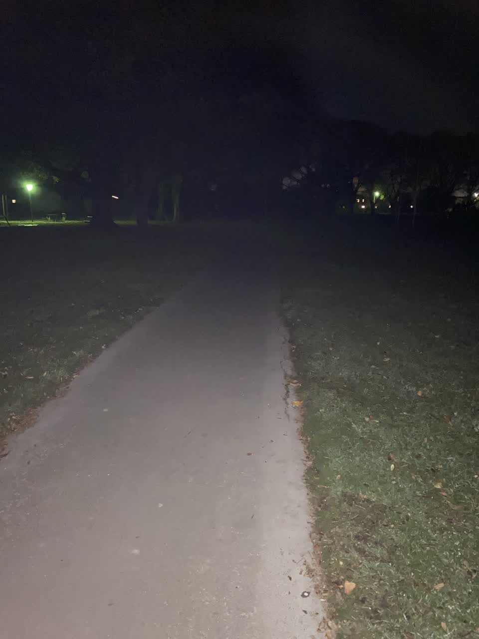 The photograph attached to this street light outage report
