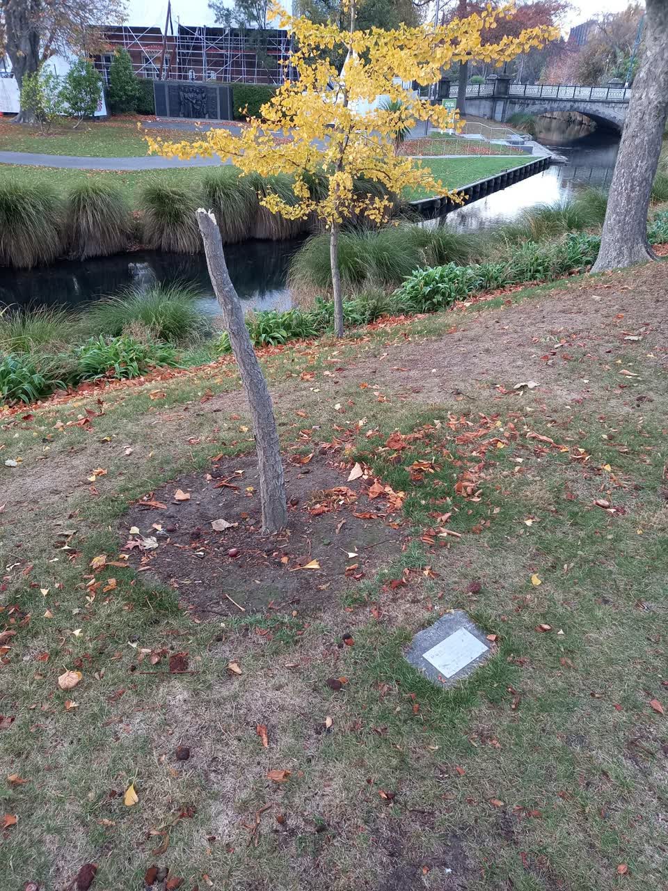 The photograph attached to this parks report