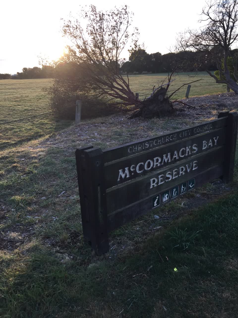 The photograph attached to this parks report