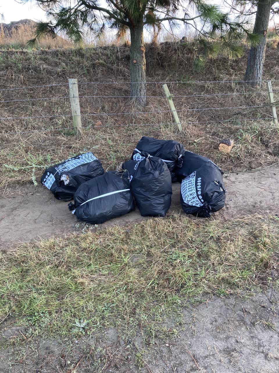 The photograph attached to this rubbish/recycling report