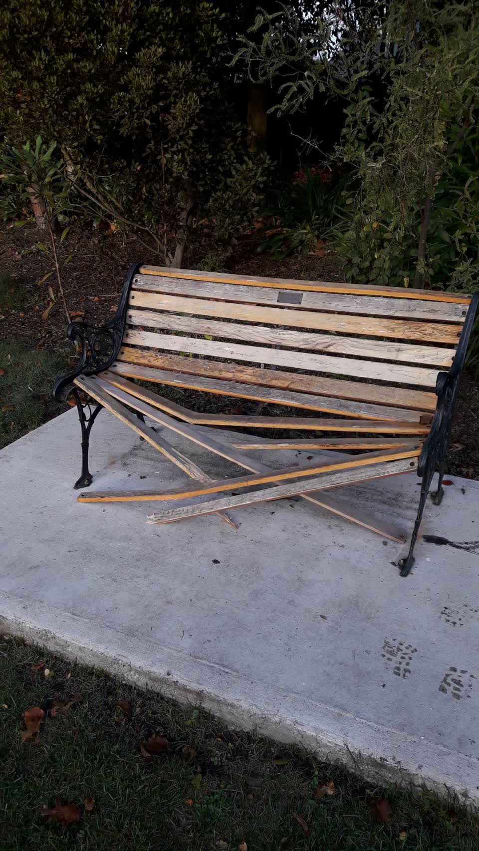 The photograph attached to this parks report