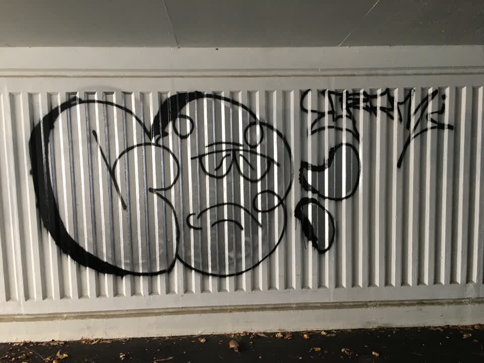 The photograph attached to this graffiti report