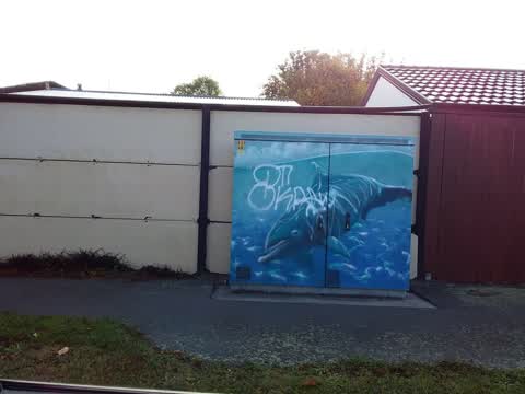 Graffiti, a report photo