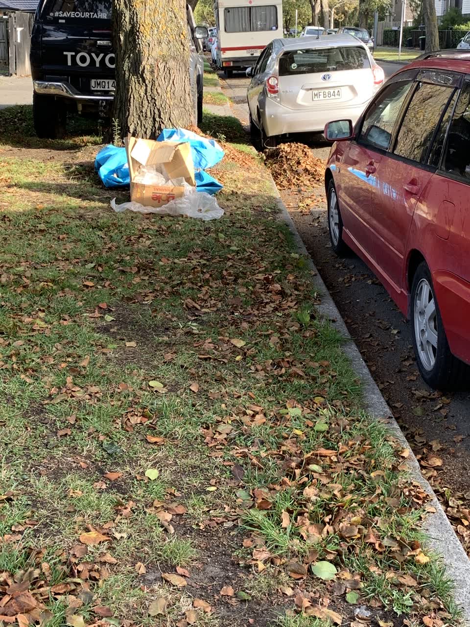 The photograph attached to this rubbish/recycling report