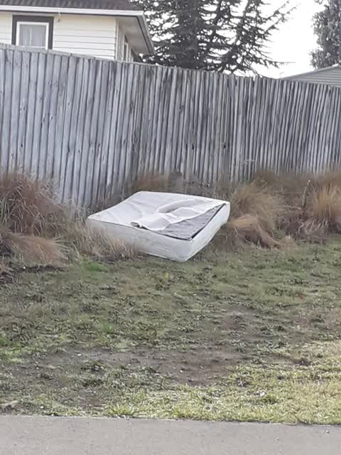 Rubbish/Recycling, a report photo